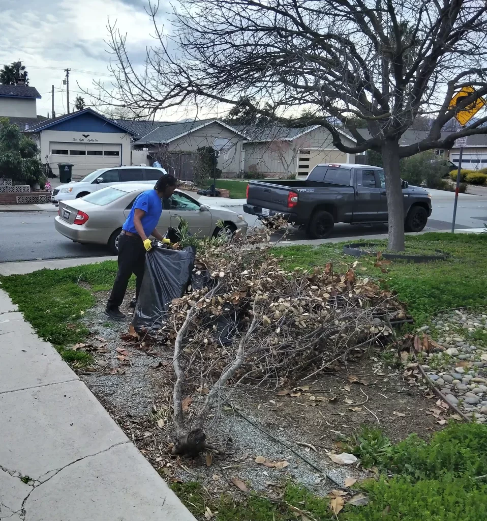 yard waste removal
